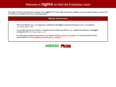 “华人频道”网站截图