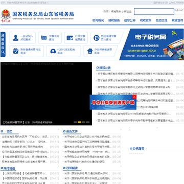 山东国税网上办税平台网站截图