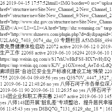 石河子市政府网