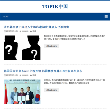 TOPIK中国网站截图