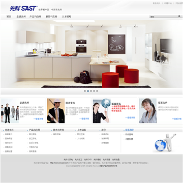 先科SAST网站网站截图